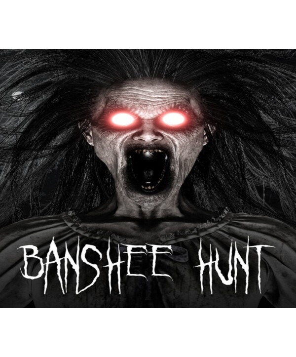 Banshee Hunt Steam Key GLOBAL